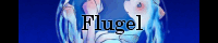 H l